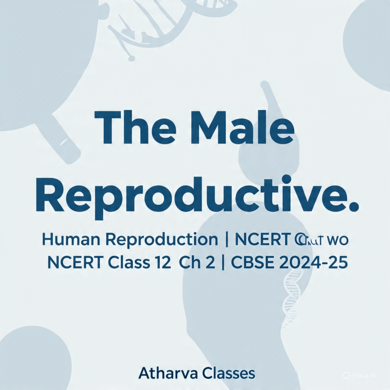 The Male Reproductive System - Human Reproduction | Class 12 Chapter 2 Biology | CBSE 2024-25